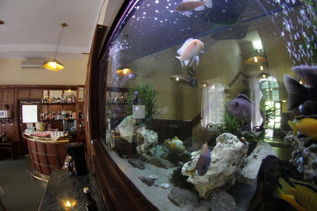 Hotel Omnibusz บูดาเปสต์ ภายนอก รูปภาพ